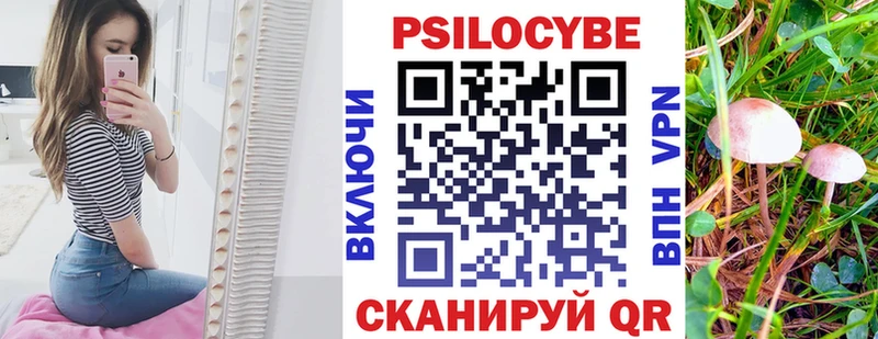 Галлюциногенные грибы Psilocybe  Покровск 